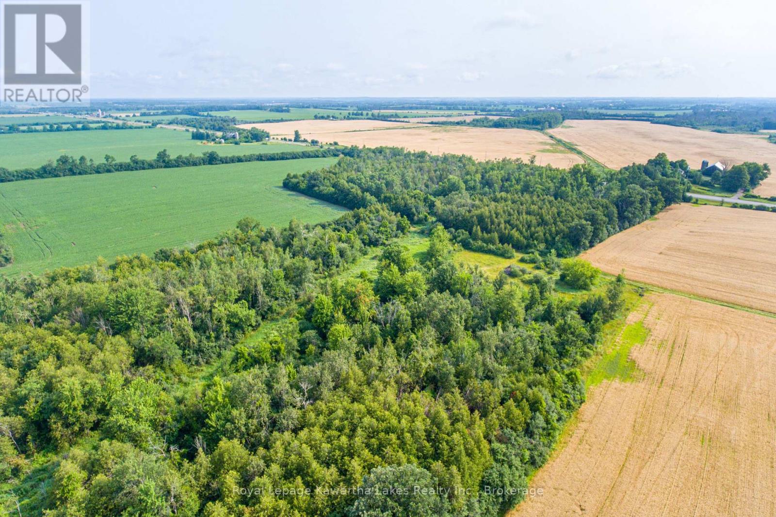 C1175 Durham Road 12, Brock, Ontario  L0E 1E0 - Photo 20 - N13613354