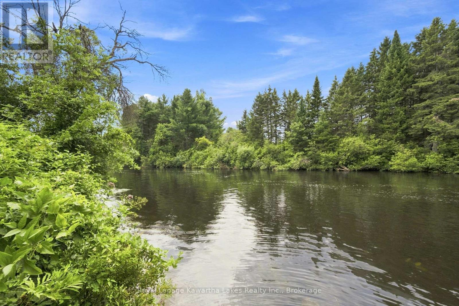 9 Crooked Court, Kawartha Lakes, Ontario  K0M 1N0 - Photo 23 - X13660736