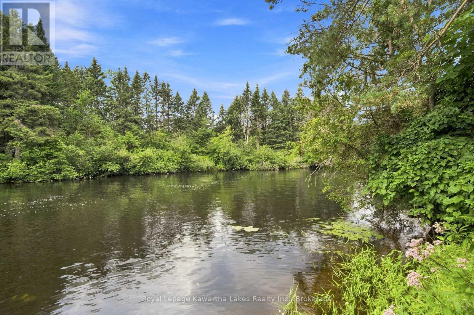 9 Crooked Court, Kawartha Lakes, Ontario  K0M 1N0 - Photo 24 - X13660736