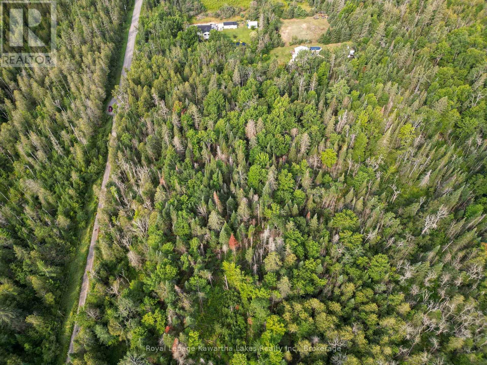 Lt 4 Dutch Line Road W, Trent Lakes, Ontario  K0M 2A0 - Photo 3 - X13670424