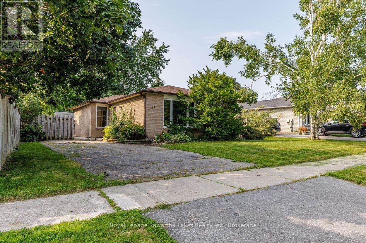 45 Sinclair Street, Kawartha Lakes, Ontario  K9V 5L6 - Photo 1 - X13670720