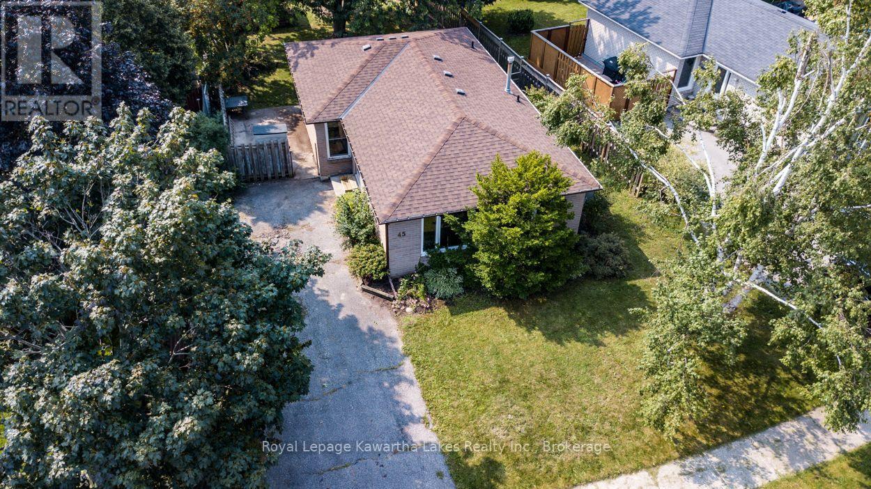 45 Sinclair Street, Kawartha Lakes, Ontario  K9V 5L6 - Photo 49 - X13670720