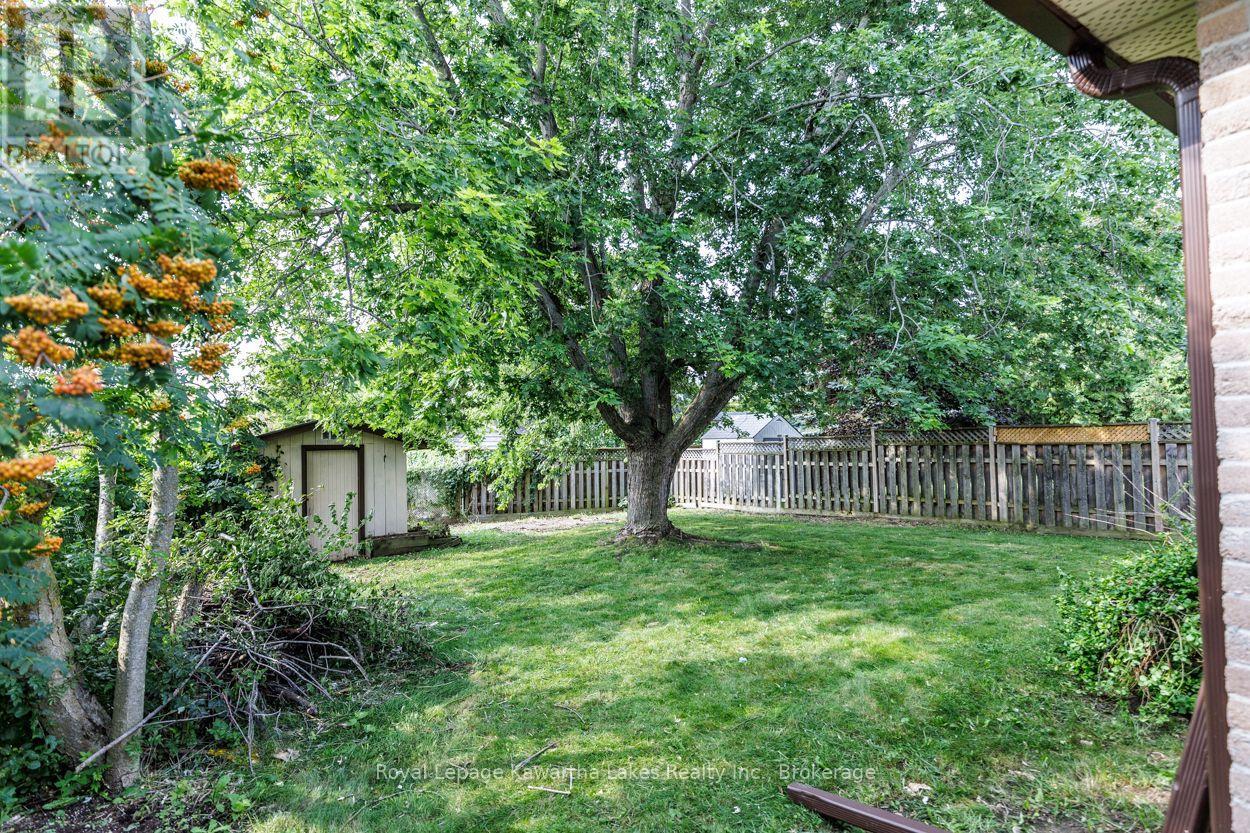 45 Sinclair Street, Kawartha Lakes, Ontario  K9V 5L6 - Photo 6 - X13670720
