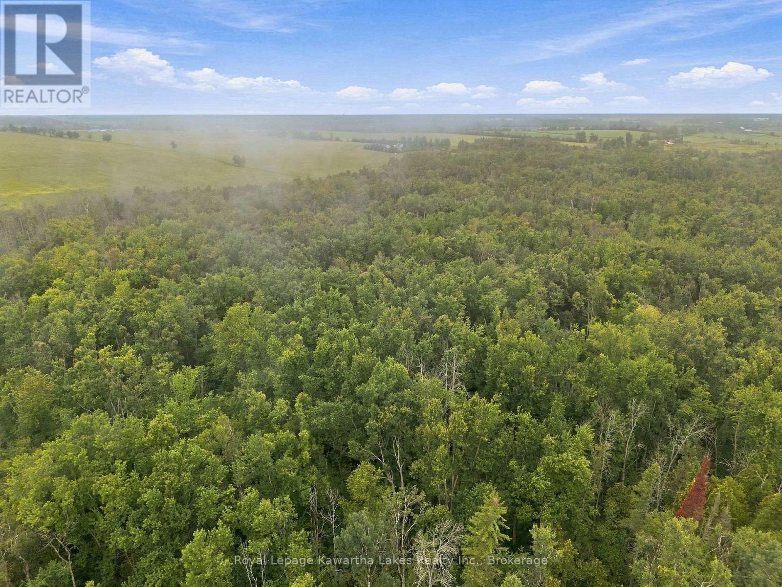 583 Hillhead Road, Kawartha Lakes, Ontario  K0L 2X0 - Photo 14 - X13745238