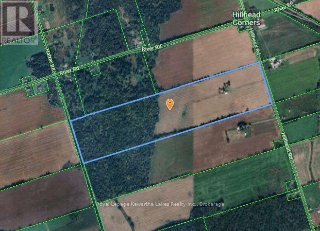 583 Hillhead Road, Kawartha Lakes, Ontario  K0L 2X0 - Photo 27 - X13745238