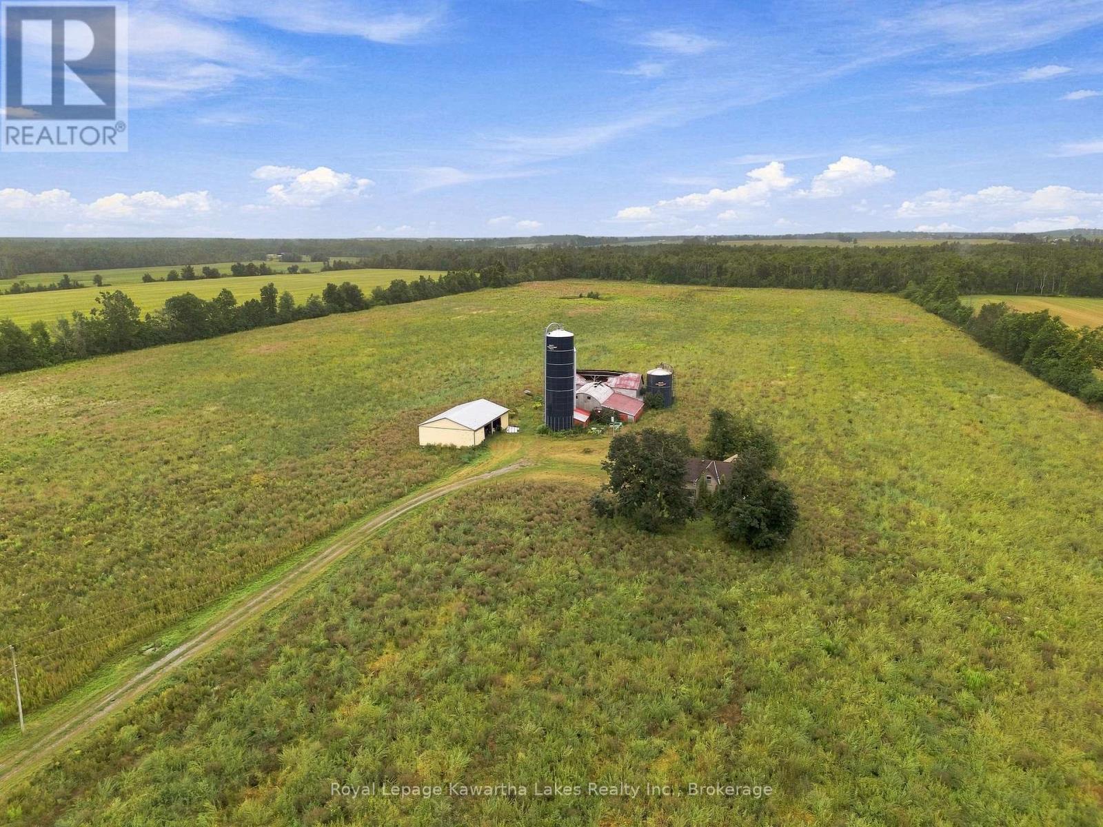 583 Hillhead Road, Kawartha Lakes, Ontario  K0L 2X0 - Photo 5 - X13745238